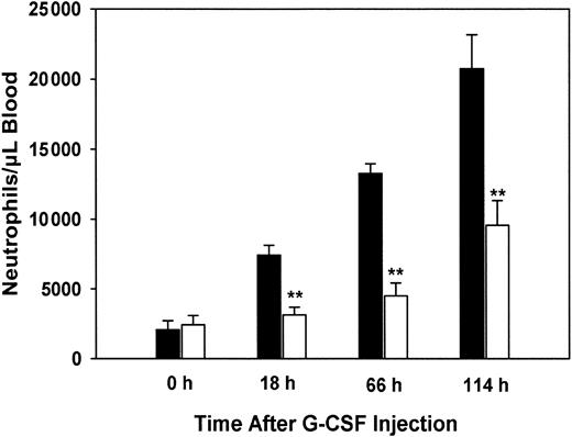 Fig. 7. Reduced granulocytosis in PLSCR−/− mice treated with G-CSF. / Human recombinant G-CSF was injected subcutaneously into 5 each age-matched WT (■) and PLSCR1−/− (□) male mice at doses of 120 μg/kg at time 0 and daily thereafter. Blood samples were collected before and 18, 66, and 114 hours after the initial G-CSF injection. Neutrophil counts were derived from whole blood WBC counts and WBC differential counts. **P < .01 compared with WT.