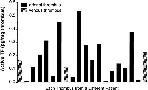 Fig. 1. TF activity in human thrombi. / Procoagulant activity was measured in a 2-stage clotting assay. Human thrombi obtained from thrombectomy were homogenized, preincubated with FVIIa and FX for 3 minutes in presence or absence of the murine monoclonal anti-human TF antibody (HTF1-7B8). Then, human plasma containing a phospholipid mix (PC/PS = 70/30) was added and the clotting assay started by addition of Ca++. The amount of TF was calculated from a standard curve obtained using relipidated full-length TF.