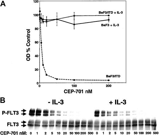 Fig. 2. Inhibition and IL-3 rescue of FLT3/ITD-transfected BaF3 cells treated with CEP-701. / (A) Triplicate samples of 50 000 cells were incubated in 96-well plates with increasing CEP-701 concentrations. BaF3 cells were cultured with IL-3 at 1 ng/mL (solid line), whereas BaF3/ITD cells were cultured with (dotted line) or without (dashed line) IL-3. After 48 hours of incubation, cell proliferation was assessed with the MTT assay, and the results, in the form of optical densities, were plotted as percent untreated (DMSO) control. (B) IL-3 has no effect on the inhibition of FLT3 by CEP-701. BaF3/ITD cells were incubated with CEP-701 with or without IL-3, then assayed for FLT3 phosphorylation as in Figure1A.