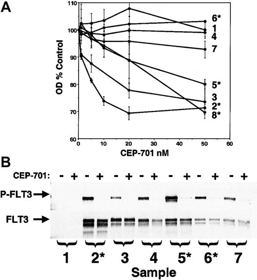 Fig. 6. CEP-701 inhibits FLT3 phosphorylation and induces cytotoxicity in primary AML samples. / (A) MTT dose-response assays on patient samples performed in triplicate as described previously.23 Those samples found by RT-PCR to harbor a FLT3/ITD mutation are denoted with an asterisk. RT-PCR on sample 7 revealed the presence of an Asp835 point mutation. (B) Samples for which adequate cells were available were assayed for phosphorylated FLT3 (upper panel) by incubating them for 1 hour in the absence (−) or presence (+) of 50 nM CEP-701 prior to lysis and immunoprecipitation/immunoblotting. The blot was stripped and reprobed with anti-FLT3 antibody (lower panel) to verify equal protein loading.