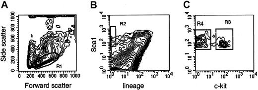 Fig. 1. Sort windows used to isolate Lin−Sca1++, Lin−Sca1++kit+, and Lin−Sca1++kit− cells. / Cells with low to medium forward scatter (FSC) and low side scatter (SSC) (R1), negative green (lineage) fluorescence, orange (Sca1) fluorescence higher than twice the fluorescence level of cells stained with control antibodies (not shown) (R2), and positive red (c-kit) fluorescence (LSK+, R3) or negative red fluorescence (LSK−, R4) were isolated. For the isolation of Lin−Sca1++ cells, cells falling into R1 and R2 were isolated.