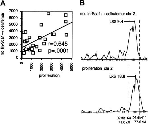 Fig. 4. Responsiveness to early-acting factors and number of Lin−Sca1++ cells in BXD RI strains. / (A) Correlation between the responsiveness to flt3, KL, and TPO and number of Lin−Sca1++ cells per femur among BXD RI strains. (B) LRS along chromosome 2 (chr 2) for the number of Lin−Sca1++ cells per femur (top) and proliferation (bottom).