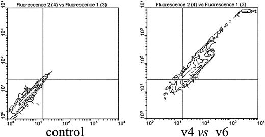 Fig. 5. Bone marrow–derived macrophages are CD44 v4 and v6 positive. / A 99% pure population of bone marrow–derived macrophages cultured as described in “Materials and methods” was double stained with anti-CD44 v4 and CD44 v6 antibodies. Cells (5 × 105) were first incubated with the unlabeled primary antibody followed by incubation with PE-labeled secondary antibodies, and then the cells were treated with the FITC-labeled antibodies. Fluorescence was measured in a FACScan cytometer (Becton Dickinson). In the experiment shown, v6 antibodies were FITC labeled. In similar experiments, FITC-labeled v4 antibodies gave the same result (not shown).