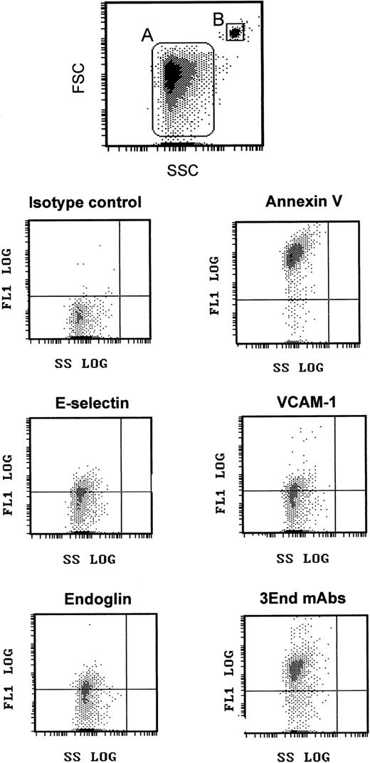 Fig. 2. Flow cytometry detection of EMPs. / EMPs were labeled using annexin V–FITC or mAbs directed against endothelial-specific molecules (VCAM-1, endoglin, E-selectin) used alone or in combination (3End mAbs) as described in “Materials and methods.” EMPs (gate A) were discriminated by size on an FSC–SSC cytogram. They were further analyzed for fluorescence associated with irrelevant and specific antibodies. Graphs are representative flow cytometry dot plots depicting fluorescence intensity versus side scatter intensity (FL1–SSC) of EMPs counted using 3-μm latex beads (gate B) as an internal standard. The horizontal gate was drawn at a fluorescence intensity above the background level.