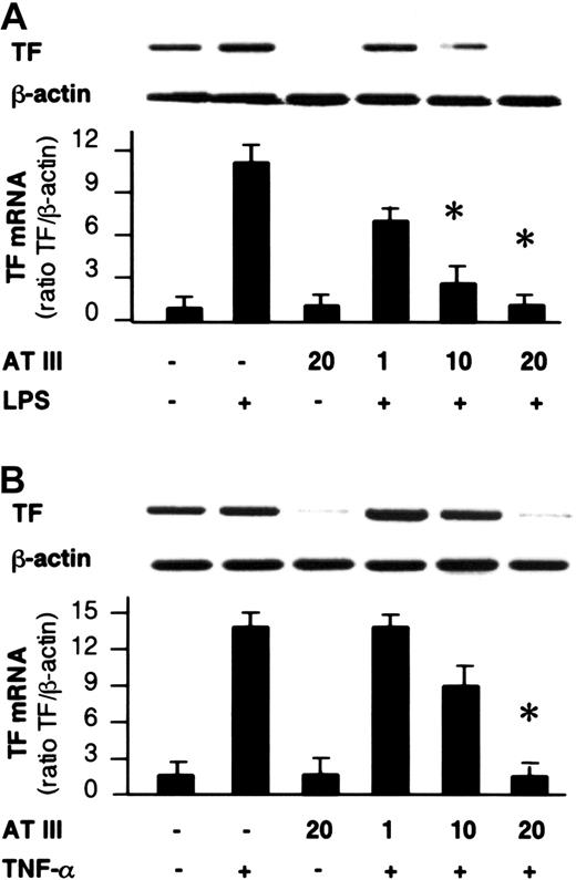 Fig. 5. Effect of AT III on TF gene expression in monocytes and ECs. / Cells were pretreated for 2 hours with the indicated concentrations of AT III, followed by stimulation with either LPS (monocytes; 10 μg/mL) (A) or TNF-α (ECs; 40 ng/mL) (B). Cells were harvested after 4 hours of stimulation, and RT-PCR was performed with primers specific for TF or β-actin gene. A representative ethidium bromide visualization of TF and β-actin mRNA is given in the upper panel. Relative values of TF mRNA (normalized to β-actin) are given in the lower panel. The values represent means ± SEM of 4 independent experiments. *P < .01 versus stimulation in the absence of AT III.