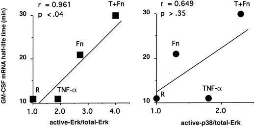 Fig. 2. GM-CSF mRNA stability is correlated with ERK activation but not p38. / The ratios of act-ERK/total-ERK and p38/total-ERK determined in Figure1 were plotted versus GM-CSF mRNA half-life times (minutes) determined previously.2 The Pearson test was performed, confirming a statistical correlation between GM-CSF mRNA stabilization and ERK activation but not p38 activation.