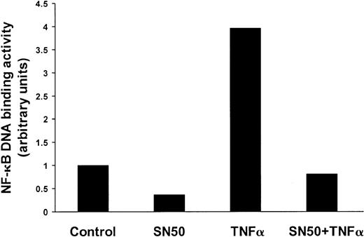 Fig. 1. Effect of SN50 on NF-κB activity in MM cells. / SN50 down-regulates constitutive and induced NF-κB activity in MM cells. DNA-binding activity of the transcriptional factor NF-κB was quantified in MM.1S cells pretreated with or without SN50 (20 μM) for 1 hour, and then treated with or without TNF-α (50 ng/mL) for 4 hours. The DNA binding activity of NF-κB in MM.1S cells was quantified by ELISA with the use of the Trans-AM NF-κB p65 Transcription Factor Assay Kit, according to the manufacturer's instructions. Values (mean ± SD) were normalized for cellular protein content. Data are representative of 3 experiments. Constitutive NF-κB DNA-binding activity in MM.1S cells was significantly inhibited by SN50. Moreover, SN50 inhibited NF-κB activation induced by TNF-α.