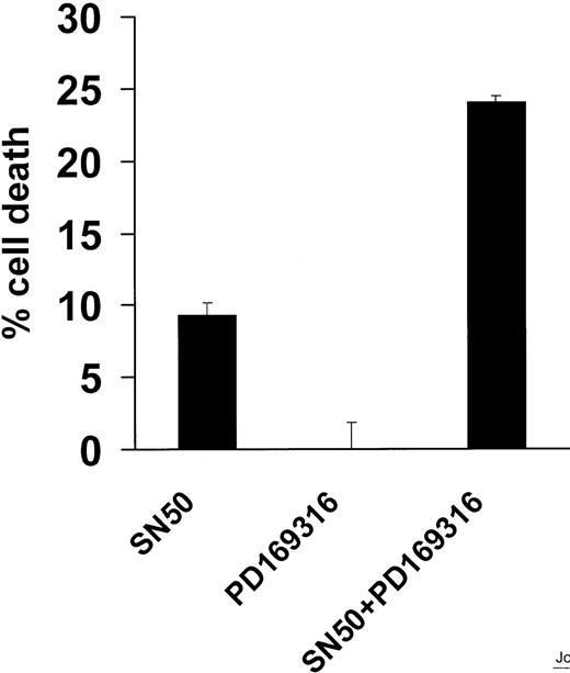 Fig. 8. Effect of PD169316 on MM.1S-cell apoptosis induced by NF-κB inhibition. / The p38 inhibitor PD169316 sensitizes MM.1S cells to apoptosis induced by NF-κB inhibition. Cell death was assayed by MTT in MM.1S cells treated with a nontoxic concentration of the p38 inhibitor PD169316 (10 μM) and/or the NF-κB inhibitor SN50 (10 μM) for 18 hours. PD169316 did not induce MM cell apoptosis, but did enhance the apoptotic effect of SN50, suggesting an interaction between the p38 and NF-κB pathways. Data shown (mean ± SD) are representative of 3 experiments.