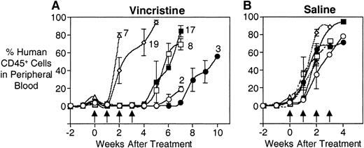 Fig. 5. In vivo responses of xenografts derived from patients 2, 3, 7, 8, 17, and 19 to vincristine. / Mice were inoculated with human leukemia cells, monitored for engraftment, and treated with vincristine (A) or saline control (B) as described in “Patients and methods.” During and following treatment, the leukemic burden was monitored by estimating the proportion of human CD45+ cells in murine peripheral blood. (A) The xenografts from patients 2 (open circles) and 3 (closed circles) took approximately 6 and 7 weeks, respectively, to reappear in the peripheral blood following the initiation of vincristine treatment, whereas xenografts from patients 7 (open triangles) and 19 (open diamonds) essentially grew through the vincristine. Xenografts from patients 8 (open squares) and 17 (closed squares) exhibited an intermediate response. (B) Xenografts exposed to saline exhibited equivalent growth rates. Arrows indicate vincristine or saline treatment times.