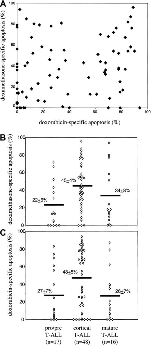 Fig. 1. In vitro susceptibility to doxorubicin- and dexamethasone-induced apoptosis in T-ALL: absence of cross-reactivity and differential dependence on maturation stage. / Primary T-ALL cells were incubated in the presence of either doxorubicin (1 μM) or dexamethasone (2 μM) for 24 hours at 37°C. After incubation, apoptotic cells were detected by flow cytometry using annexin V/PI staining, and the extent of drug-specific apoptosis was calculated by the formula described in “Patients, materials, and methods.” (A) Dexamethasone- versus doxorubicin-specific apoptosis in individual T-ALL samples (Spearman correlation coefficient, rs = 0.22, P = .053). (B,C) Drug susceptibility in T-ALL subgroups. Subgroups were defined according to the EGIL criteria as pro–/pre– (CD1a−, sCD3−) T-ALL, cortical (CD1a+) T-ALL, and mature (CD1a−, sCD3+) T-ALL. Significant differences (Spearman analysis) were found: pro–/pre–T-ALL versus cortical (P = .002 and .02 for dexamethasone and doxorubicin) and cortical versus mature (P = .02 for doxorubicin).