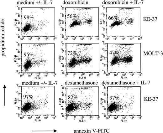 Fig. 3. Modulation of drug-induced apoptosis by IL-7 in T-ALL cell lines. / Leukemic cells were cultured with IL-7 (25 ng/mL) and either doxorubicin (1 μM and 0.04 μM in KE-37 and MOLT-3, respectively) for 24 hours or dexamethasone (2 μM) for 48 hours. Dot plots show flow cytometric analysis of cells stained with annexin V-FITC and PI. Percentages of viable cells (PI− and annexin V− cells) are indicated. Dot plots of cells in medium alone were identical to that of cells in the presence of IL-7 (not shown).
