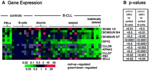 Fig. 3. Analysis of expression of genes from the critical region with real-time PCR. / (A) Expression of genes localized at chromosomal band 13q14.3(RB1, CLLD7, KPNA3, CLLD6, RFP2, BCMSUN, andBCMS) and BCL2 was analyzed by quantitative real-time PCR together with a set of housekeeping genes (PGK, CYC, and LAMIN B1). Depicted is the logarithm of the ratio of the amount of the respective gene-specific mRNA to the average of the amount of mRNAs of the 3 housekeeping genes in peripheral blood lymphocytes (PBL; n = 4) and CD19+ peripheral blood lymphocytes (B cells; n = 9) from healthy donors, and in B-CLL patients with tumors biallelic for the critical region in chromosomal band 13q14.3 (disomic; n = 6), loss of one allele (deleted; n = 21), and loss of both alleles (biallelically deleted; n = 1). Interesting genes were either measured with 2 different sets of primers or on 2 different cDNAs prepared from the same patients or both. The color coding gives fold expression as compared with the average of sorted B cells; gray = not done. (B) A double-sided Studentt test shows either significant differences between the patient groups (dis, del) and sorted B cells or no significant differences.