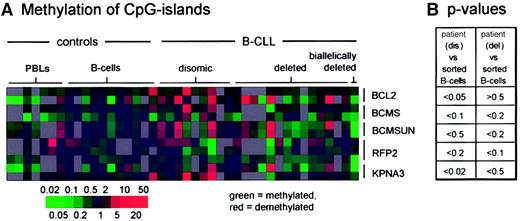 Fig. 6. DNA methylation of CpG islands from the critical region as measured with real-time PCR. / (A) Methylation of CpG islands localized at chromosomal band 13q14.3 and in the BCL2 promotor was assessed with quantitative real-time PCR by using primers specific for bisulfite-converted and nonmethylated DNA from peripheral blood lymphocytes (PBL; n = 7), CD-19+ peripheral blood lymphocytes (B cells; n = 11), B-CLL patients with tumors biallelic for the critical region in 13q14.3 (disomic; n = 9), loss of one allele (deleted; n = 14), or loss of both alleles (biallelically deleted; n = 1). Depicted are the ratios of 13q14.3- orBCL2-specific primer pairs and 2 methylation-insensitive primer pairs that are specific for bisulfite-converted DNA (Eads et al26). The color coding gives fold nonmethylated DNA (green = methylated) as compared with the average of sorted B cells; gray = not done. (B) A double-sided Student t test shows no significant differences between the patient groups (disomic or deleted) and sorted B cells.