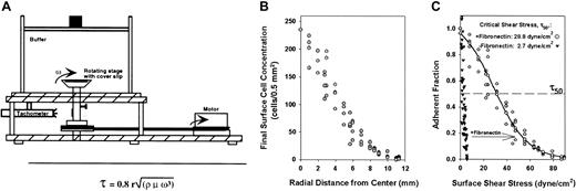Fig. 1. Diagram of the cell detachment device and characteristic detachment profile. / (A) Cells are allowed to settle onto a fibronectin-coated matrix atop the rotating stage. Motion of the stage and matrix induces fluid flow that generates a range of detachment forces that dislodges cells. (B) The surface density of pK1 after a 10-minute spin is plotted versus radial position showing that fewer cells remain attached near the circumference where the detachment force, τ, is high compared to the center where the detachment force approaches zero. (C) Fraction of adherent pK1 cells in panel B, normalized to the cell count at the center after a 10-minute spin is plotted versus surface shear stress, τ. Cells were incubated on BSA alone (▾) or in the presence of fibronectin (). (–○–) represents a curve fitted to the experimental points. The dashed line represents an adherent fraction of 0.5. The critical shear stress (τ50) is defined as the point on the abscissa (shear stress) that corresponds to an adherent fraction of 0.5 along the fitted curve.