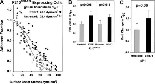 Fig. 5. STI571 treatment of P210BCR-ABL 32D cells fails to decrease cell adhesion. / (A) P210BCR-ABL 32D cells were incubated with (●) or without () 10 μM STI571 overnight prior to assaying adhesion. Typical profiles are shown and indicate that adhesion was not reduced, and may have slightly increased, as a result of tyrosine kinase attenuation by STI571. (–○–) represents a curve fitted to the experimental points. The critical shear stress (τ50) is defined as the point on the abscissa (shear stress) that corresponds to an adherent fraction of 0.5 along the fitted curve. (B) The critical shear stress was calculated for a series of spins and is represented as the fold change in τ50 relative to untreated P210BCR-ABLcells. We tested 2 separate populations of P210BCR-ABLcells (left, right) treated with (n = 5, n = 4), or without (n = 3, n = 4) 10 μM STI571 overnight (P = .008,P = .016). (C) pK1 control cells were incubated with (n = 4) or without (n = 10) 10 μM STI571 as in (B) (P = .06) and the data are represented as the fold change in τ50 relative to untreated pK1 cells. Treatment of transduced 32D cells with STI571 did not affect nonspecific binding to BSA matrices (data not shown).