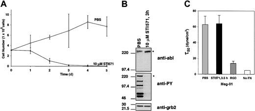 Fig. 6. Adhesion of human Meg-01 leukemia cells to fibronectin is unresponsive to tyrosine kinase attenuation by STI571. / (A) Meg-01 cells were treated in triplicate with 10 μM STI571 (▴) or an equal volume of PBS used as the delivery vehicle (○) and were allowed to proliferate in Meg-01 media. Cell viability was determined by trypan blue exclusion. (B) Western blots of whole cell lysates were run to show expression of P210BCR-ABL and tyrosine-phosphorylated proteins in Meg-01 cells treated with 10 μM STI571 or PBS for 3 hours. The P210BCR-ABL–specific band is indicated by an asterisk. Expression of grb2 was used as a loading control. (C) τ50 was determined for spins with Meg-01 cells treated with 10 μM STI571 for 3.5 hours (n = 11) or an equal volume of PBS for 1.5 hours or 3.5 hours (n = 12). No difference in adhesion was observed between 1.5 hours and 3.5 hours for control Meg-01 cells treated with only PBS (data not shown). The magnitude of binding was not significantly affected when the kinase activity was arrested by STI571 (P = .81); however, decreased adhesion could be measured by blocking α5β1integrins with a soluble RGD fragment (n = 4) that prevents binding to fibronectin. Meg-01 cells treated with STI571 or PBS were assayed on BSA only (no FN), which represents nonspecific binding and is very small, at or below the minimum detection threshold of the device (≤ 5 dyne/cm2). At times, profiles could not be determined because of the small number of cells remaining after a spin in the absence of fibronectin.