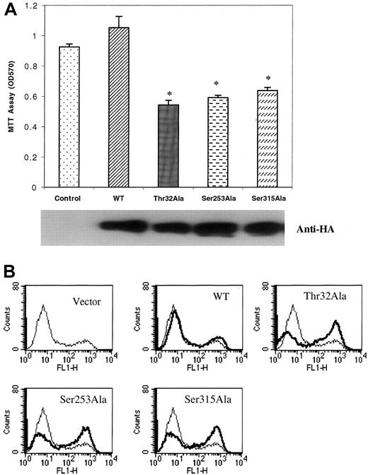 Fig. 8. Effect of mutant FKHRL1. / Expression of mutant FKHRL1 inhibits proliferation and IGF-I rescue of Dex-induced apoptosis. (A) Effect of expression of mutant FKHRL1 on proliferation of H929 cells. Cell clones expressing PFB vector (Control), PFB-FKHRL1-WT (WT), PFB-FKHRL1-Thr32Ala (Thr32Ala), PFB-FKHRL1-Ser253Ala (Ser253Ala), or PFB-FKHRL1-Ser315Ala (Ser315Ala) were cultured in serum-free media containing 100 ng/mL IGF-I for 48 hours. Proliferation was assessed by MTT assay. Results are presented as mean ± SE (n = 4). Data are representative of 3 separate experiments. *P < .01. Expression of the various constructs was confirmed by blotting with antibodies to the HA tag. (B) Effect of expression of mutant FKHRL1 on IGF-I rescue of Dex-induced apoptosis. H929 clones, indicated as above, were pretreated with 100 ng/mL IGF-I for 1 hour followed by incubation with 1 μM Dex for an additional 36 hours. Cells were stained with annexin V and propidium iodide. Apoptotic cells were enumerated by FACS analysis.