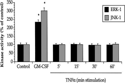 Fig. 3. GM-CSF, but not TNF-α, enhanced the activities of the MAPKs ERK-1 and JNK-1 in JMML cells. / GM-CSF (5 minutes, 10 ng/mL), but not TNF-α (10 ng/mL), increased the kinase activity of ERK-1 and JNK-1 derived from JMML cells. Values are the means + SEM, n = 8. *P < .05 compared with control.