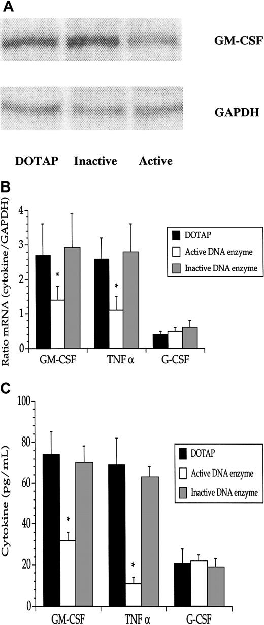 Fig. 6. The DNA enzyme reduced both GM-CSF mRNA and protein in JMML cells. / (A) A decrease of mRNA–GM-CSF was noted after addition of the active, but not the inactive, DNA enzyme (1 μg/mL). Data are from one experiment of one JMML case. Pooled data (means + SEM) from the 8 JMML cases show significant (*) reductions in mRNA (B) and protein (C) for GM-CSF and TNF-α, but not for G-CSF. The data in A and B were obtained from RNAse protection assays.