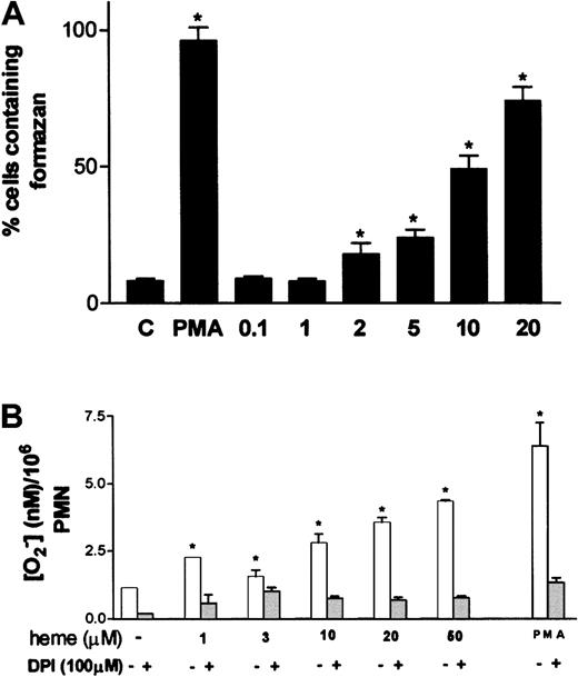 Fig. 3. Oxidative burst in human neutrophils is triggered by hemin. / (A) Human PMNs were incubated for 1 hour at 37°C with hemin (0.1-20 μM) or 100 nM PMA in the presence of 0.05% NBT. After that, cells were stained with safranin, and formazan deposits were quantified under a light microscope. At least 5 random fields were analyzed per data point. Data shown are from a typical experiment, representative of 3 identical studies. *P < .01. (B) Intracellular production of superoxide was evaluated through the reduction of cytochromec. Neutrophils were incubated with distinct amounts of heme in the presence or absence of DPI. PMA (100 nM) was used as a positive control for superoxide production. Incubations were carried out at 37°C for 30 minutes. Data shown are from a typical experiment, representative of 3 identical studies performed in triplicate. *P < .01.