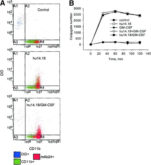 Fig. 6. PMN–tumor cell conjugate formation. / PMNs were incubated with DiD-labeled neuroblastoma cells alone (control), GM-CSF alone, hu14.18 with or without GM-CSF, or hu14.18/GM-CSF immunocytokine for 30, 60, 90, and 120 minutes. (A) In this example, the expression of CD11b by PMNs is shown after 60 minutes with an FITC–anti-CD11b mAb, and data are presented as dual-color diagrams. (B) PMN–tumor cell conjugates were identified as CD11b+DiD+ events and are represented as the number per 10 000 events at the indicated times. Data are from 1 of 5 experiments that gave similar results.