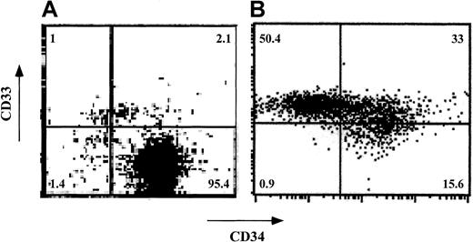 Fig. 5. Phenotypic characterization of ex vivo–expanded purified CD34+ cells. / CD34+ cells were cultured for 7 days in Iscoves modified Dulbecco medium containing FL, SCF, and TPO. CD34 and CD33 cell-surface expression was analyzed by cytofluorometry before (A) and after (B) ex vivo expansion. The percentage of each cell subpopulation is shown in the relevant area of each dot plot.