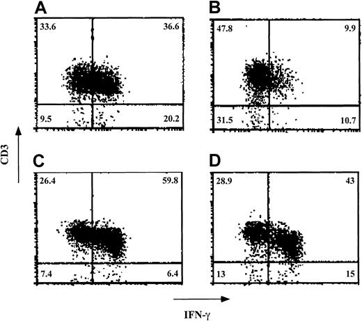 Fig. 7. Veto activity of ex vivo–expanded CD34+cells: effect on intracellular staining of IFN-γ in the effector T cells. / Responder cells and irradiated allogeneic stimulator cells were cocultured for 5 days in the absence (A and C) and presence (B and D) of cells obtained after a 12-day ex vivo expansion of CD34+ cells. The stimulator cells in the MLR (carried out at a veto-to-responder cell ratio of 0.125) were from either the donor of the CD34+ cells (A and B) or a third party (C and D). After the 5-day MLR, the cells were subjected to an additional 7-day limiting-dilution culture. The cells were then incubated with phorbol 12-myristate 13-acetate, ionomycin, and monensin; fixed; and stained for detection of the intracellular IFN-γ. Lymphocytes were gated on the basis of their forward scatter–side scatter profile. The percentage of each cell subpopulation is indicated in the relevant area of each dot plot. Shown are data from 1 of 3 experiments.