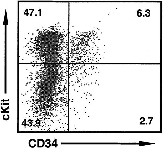 Fig. 2. Representative 2-color dot plot of HPC markers on FL cells at day 11 of gestation. / Approximately half of all cells are c-Kit+ HPCs, of which 10% to 20% also express CD34. The c-Kit− population consists of Ter119+ erythroid cells (not shown). The percentage of cells in each quadrant is shown.