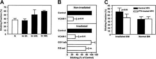 Fig. 6. Sticking of murine FL HPCs in nonirradiated and irradiated BM microvessels. / (A) TBI mediates increased HPC sticking. Sticking occurred at a considerable frequency in nonirradiated BM (N, sticking fraction 38.5% ± 3.8%), tended to be increased at 24 hours (Irr, 50.5% ± 12.7%, P > .05 vs N) and was significantly enhanced at 48 hours after TBI (60.3% ± 2.4%,P < .01 vs N). (B) Effect of blocking mAbs on FL HPC sticking. Sticking fractions (defined as percentage of rolling cells) after mAb treatment were normalized to sticking fractions determined in the same vessel before mAb application (control). (C) Only sticking in irradiated BM was partly inhibited by PTX. Cells (107/mL) were incubated with PTX (100 ng/mL) for 2 hours at 37°C. During the last 30 minutes of PTX incubation, treatment was combined with fluorescence staining. Treated cells were washed and used immediately for IVM. Data are presented as mean ± SEM. ns indicates nonsignificant.