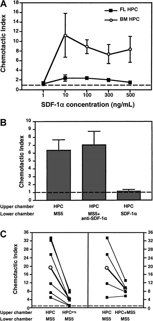 Fig. 7. Differential migration of FL HPCs and adult BM HPCs to SDF-1α in chemotaxis assays. / Migrated HPCs in the lower chamber of the assay system were quantitated (A and C) by flow cytometry gating on c-kit+cells (for FL HPC) or CD34+ cells (for BM HPC) or (B) by counting colony-forming units after plating of migrated cells in methylcellulose. (A) Dose-dependent chemotactic response of FL HPCs and BM HPCs to SDF-1α in the lower chamber. The chemotactic index was calculated as the number of migrated cells in chemokine-containing wells divided by the number of migrated cells in wells containing medium alone. The frequency of responsive FL HPCs was less than 0.2% of all input cells, whereas 15% to 18% of BM HPCs migrated toward SDF-1α at optimal chemokine concentration. (B) FL HPCs migrate avidly toward a chemotactic signal in supernatant from MS5 BM stroma cells distinct from SDF-1α. Undiluted MS5 supernatant or control medium was added to the lower chamber. Some experiments were performed in the presence of anti–SDF-1α (50 μg/mL). (C) Chemotactic response of FL HPC to MS5 supernatant is blocked after the treatment of HPCs with PTX (left panel) and is attenuated in the absence of a chemotactic gradient. Filled squares connected by lines represent individual experiments performed in parallel with the same batch of FL HPC. Empty circles represent the mean of 6 (left panel,P < .05) or 4 (right panel, P > .05) experiments. Broken line represents chemotaxis to control medium. Bars represent mean ± SEM.