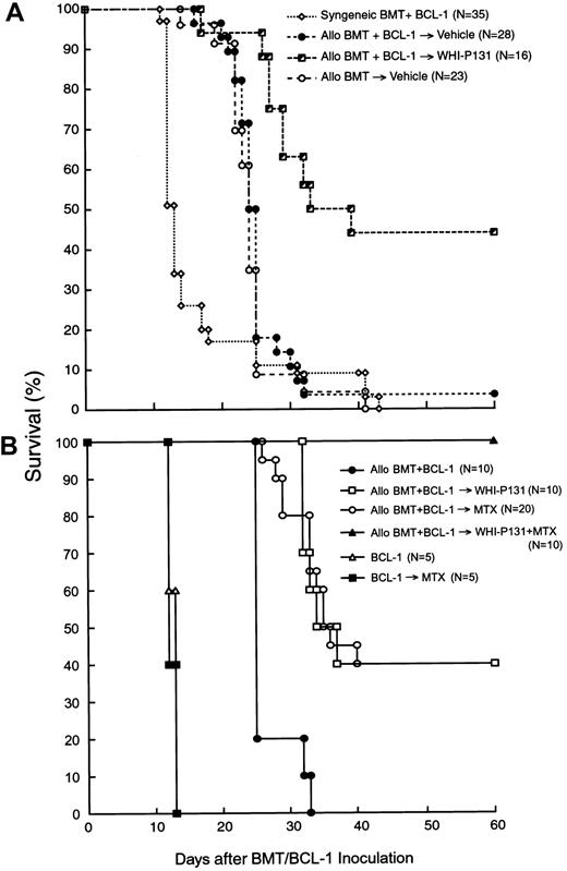 Fig. 1. Effects of WHI-P131/JANEX-1 with or without MTX on survival. / The effects of the JAK3 inhibitor WHI-P131 (A) or WHI-P131 in combination with MTX (B) on the post-BMT survival outcome in a murine GVL model are shown. Irradiated (9.5 Gy) (BALB/cJxC57BL/6J) F1 (H-2d/b) recipients were given BM/S graft (25 × 106 cells of each) from syngeneic (syngeneic BMT) or allogeneic C57BL/6 (H-2b) donors (allo BMT). BMT recipients (GVL model) were injected with 5 × 106 leukemia/lymphoma BCL-1 cells on day 0. Recipients were treated with vehicle alone (A), WHI-P131 (50 mg/kg per day in 2 divided doses) alone (A,B), MTX (10 mg/m2 per day, single daily dose) alone (B), or WHI-P131 (50 mg/kg per day in 2 divided doses) plus MTX (10 mg/m2 per day, single daily dose; panel B) daily from day 0 until day 60 after BMT. Because there were no differences in survival rate of syngeneic BMT recipients treated with vehicle (n = 22) or with WHI-P131 (n = 13; Table1), they were summarized and presented as syngeneic BMT+BCl-1 group (n = 35; A). Controls (B) included mice inoculated with BCL-1 cells but not transplanted; some of these mice were treated with MTX alone.P < .0001 (WHI-P131–treated allogeneic BMT group versus vehicle-treated allogeneic BMT group, log-rank test, panel A);P < .001 (WHI-P131 or MTX versus no GVHD prophylaxis, log-rank test); P < .01 (WHI+MTX versus all other groups, log- rank test, panel B).