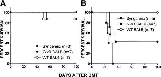 Fig. 2. IFN-γ is required for the induction of optimal GVL effects. / B6 mice were irradiated and transplanted with 5 × 106 B6 TCD BMC (▪, syngeneic), or 5 × 106 TCD BMC and 7.5 × 106 CD4-depleted splenocytes from WT (○,WT BALB) or GKO (●, GKO BALB) BALB/c donors. Leukemic recipients were additionally injected with 500 EL4 cells along with the BMT inoculum. Survivals of nonleukemic (A) and leukemic (B) recipients are shown.