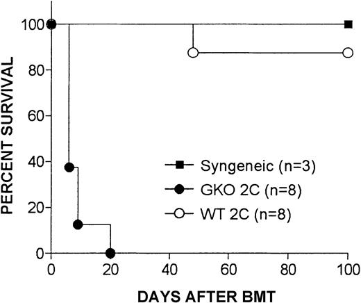 Fig. 3. IFN-γ–deficient but not WT 2C T cells induce lethal acute GVHD in BALB/c mice. / Survival is shown for irradiated (8 Gy) BALB/c mice that were transplanted with 10 × 106 BMCs and 12 × 106 splenocytes from syngeneic donors (▪, syngeneic), WT (○, WT 2C) or GKO (●, GKO 2C) allogeneic 2C donors.