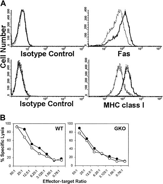Fig. 8. Effect of IFN-γ on expression of Fas and MHC class I on EL4 cells and susceptibility of EL4 cells to the cytotoxicity of allogeneic CD8 T cells. / (A) IFN-γ up-regulates Fas and MHC class I expression on EL4 cells. Surface expression of Fas and MHC class I on EL4 cells cultured in the absence (dotted histograms) or the presence of IFN-γ (6.25 ng/mL; solid histograms) is shown. (B) Killing of EL4 cells by alloreactive CTLs. Spleen cells from WT or GKO BALB/c mice were stimulated with irradiated B6 splenocytes for 5 days, and the killing activity against untreated EL4 (○) or EL4 cells that were cultured with IFN-γ (6.25 or 12.5 ng/mL for 12-14 hours) (●) was measured by a 51Cr-release assay. Data are presented as the average (percent specific lysis) of triplicates. Results from one representative experiment of at least 3 independent experiments are shown.