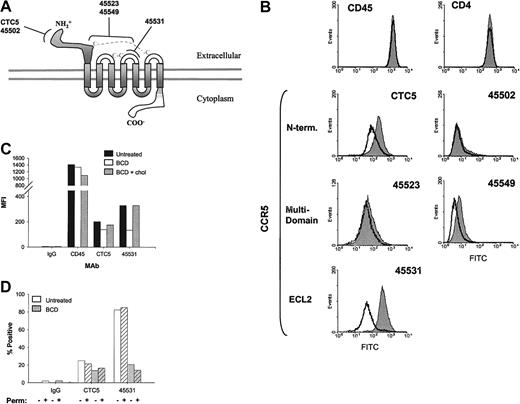 Fig. 4. Anti-CCR5 mAb binding is decreased with BCD-treated cells. / (A) CCR5 epitopes recognized by mAbs, clones CTC5, 45502, 45523, 45531, and 45549, are diagrammed. (B) CEM-R5 cells were treated with BCD and subsequently analyzed by flow cytometric analysis as described in “Materials and methods.” The results for untreated cells are graphed as a filled peak, and BCD-treated cells are graphed as a solid line. (C) CEM-R5 cells treated with BCD were then reloaded with cholesterol and subsequently analyzed for binding of control IgG2a, anti-CD45, and anti-CCR5 mAbs, CTC5 and 45531. Results are expressed as MFI from one representative experiment of 3. (D) BCD-treated CEM-R5 cells were incubated with either CTC5 or 45531. Cells were subsequently washed, fixed, and permeabilized or simply treated with PBS, containing 2% FBS, and then stained with GAM-AF488. The percentage of positive is expressed on the graph. Negative control mouse IgG2a binding to nonpermeabilized untreated cells was gated as 2% positive. Crosshatched bars represent permeabilized cells and noncrosshatched bars represent nonpermeabilized cells.