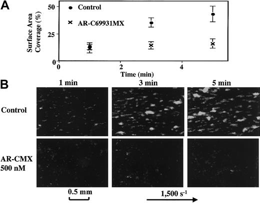 Fig. 1. Effects of AR-C69931MX on platelet thrombus formation on the surface of collagen under flow conditions. / Blood containing platelets rendered fluorescent by the addition of mepacrine and anticoagulated with the specific antithrombin agent argatroban was perfused on collagen-coated glass coverslips at a wall shear rate of 1500 s-1 for 5 minutes, either in the absence (Control) or presence of the specific P2Y12 antagonist AR-C69931MX at a final concentration of 500 nM. Platelet thrombi formed on the collagen surface were detected by inverted-stage epi-fluorescent videomicroscopy (DM IRB, 1RB-FLUO, Leica, Germany), as demonstrated in the lower panel of the figure. The microscopic images were digitized online with a photosensitive CCD camera (L-600, Leica, Germany). Surface coverage by the platelets was calculated using National Institutes of Health (NIH) Image software (public domain software by Dr Wayne Rasband, NIH, Bethesda, MD, version 1.62), and the results are shown in the upper panel of the figure. These results are the mean ± SD of the 3 experiments, while the results shown in the lower panel show 1 representative result of the 3 experiments.