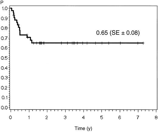 Fig. 3. Probability of remission duration in CR patients.