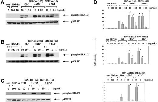 Fig. 4. Synergistic activation of ERK1/2 by SDF-1α in combination with nonproliferative concentrations of other cytokines. / MO7e cells were stimulated for 15 minutes with SDF-1α alone, another cytokine alone, or SDF-1α plus another cytokine at the indicated concentrations. Cell lysates were analyzed by Western blotting using phosphospecific antibodies to ERK1/2 (Thr202/Tyr204). The membrane was reblotted with antibody recognizing p90RSK to show equal loading. (A) SDF-1α plus GM-CSF. (B) SDF-1α plus SLF. (C) SDF-1α plus TPO. (D) Columns represent relative band intensities of phospho-ERK ± SD from 3 experiments with similar results. *P < .05 (greater than additive).