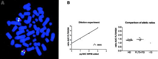 Fig. 3. Analysis of allelic loss in FLT3-ITD–positive samples. / (A) FISH analysis of a patient with an allelic ratio of 3.65. Red signals denote the BAC 85P08 labeled with SpectrumRed, and the green signals indicate a commercial DNA FISH probe (LSI 13) containing the entire RB1 gene and regions telomeric to RB1 labeled with SpectrumGreen. Original magnification, × 125. (B) Results of the PCR assay to detect allelic loss at the FLT3 locus. The left graph denotes the results of the spiking experiment. A linear increase in the FLT3/HGH ratio was obtained after the addition of 1 to 3 pg BAC 85P08 DNA containing the FLT3 genomic locus,r2 = 0.9895. The right graph shows the comparison of the allelic ratios obtained in healthy donors (HD; n = 22), patients with FLT3 wt/mutant ratios greater than 2 (FLT3-ITD; n = 12), and an AML patient with monosomy 13 (−13).
