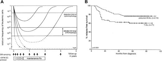 Fig. 1. I-BFM-SG treatment protocol and RFS of T-ALL and precursor B-ALL. / (A) Hypothetical graph shows the kinetics of leukemic cell decrease and regrowth in several ALL patients during and after treatment with the I-BFM-SG treatment protocol. MRD curves represent individual patients of the 3 MRD-based risk groups27—2 patients with slow MRD clearance and in the high-risk group; 2 patients with moderate MRD clearance and in the intermediate-risk group; and one patient with rapid MRD clearance in the low-risk group. The detection limit of cytomorphologic techniques and the detection-limit range of the PCR technique are indicated. Vertical arrows represent BM sampling time points at diagnosis, before each treatment block, at several time points during maintenance treatment, at cessation of therapy, and 1 year thereafter. I indicates induction treatment; C, consolidation treatment; II, reinduction treatment. (B) RFS of the 71 T-ALL and the 210 precursor B-ALL patients. Tick marks indicate censored survival times.