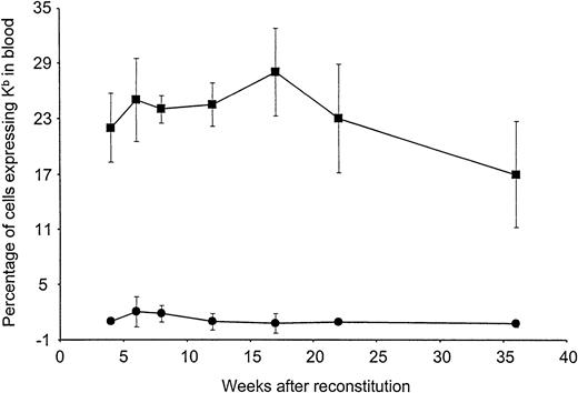 Fig. 2. Long-term expression of H-2Kb in peripheral blood leukocytes of mice reconstituted with VSV-Kb–transduced BM. / B10.AKM mice were preconditioned with anti-CD4 and anti-CD8 antibodies, lethally irradiated, and reconstituted with 4 × 106VSV-Kb–transduced (squares) or mock-transduced (circles) syngeneic BM. At 4, 6, 8, 12, 16, 22, and 36 weeks after reconstitution, peripheral blood from these animals was examined for Kb expression by flow cytometry following cell surface staining. Shown are the percentages of Kb expressing cells. The values provided represent the mean and SD of a representative experiment containing a total of 11 VSV-Kb–transduced mice and 8 mock-transduced mice. Flow cytometry gates were set using cells from mice receiving mock-transduced BM. Dead cells were excluded from this analysis.