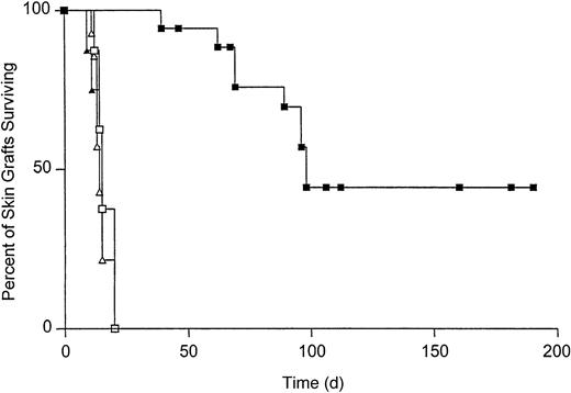 Fig. 5. Survival of B10.MBR and B10.BR skin grafts on recipients reconstituted with either VSV-Kb– or mock-transduced BM. / Survival of B10.MBR (closed symbols) and third-party B10.BR (open symbols) skin grafts on mice receiving VSV-Kb–transduced BM (squares) or mock-transduced BM (triangles). Survival of B10.MBR skin grafts was significantly prolonged on mice receiving VSV-Kb–transduced BM (MST = 98 days, n = 18) when compared to survival on controls receiving mock-transduced BM (MST = 15 days, n = 14,P = .0001 between groups). No difference was observed in survival of third-party B10.BR skin on mice receiving VSV-Kb– or mock-transduced BM (MST = 14 and 15 days, respectively;P = .3). Shown are the combined the results of 2 independent experiments.