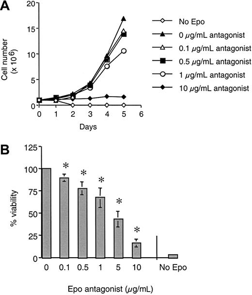Fig. 6. Epo (R103A) inhibits primary human erythroblasts. / (A) Inhibition of primary erythroblast proliferation by Epo (R103A). UCB CD34+ cells were expanded as described in “Materials and methods.” Day 9 proerythroblasts were cultured for 5 days in differentiation medium containing recombinant Epo (7.5 ng/mL) in the absence or presence of increasing concentrations of Epo (R103A) as indicated (range, 0-10 μg/mL). As a negative control, cells were cultured in the absence of any added recombinant Epo or Epo (R103A) (no Epo). Comparable results were obtained in 3 independent experiments. (B) Epo (R103A) results in decreased viability of primary erythroblasts. Day 9 proerythroblasts were cultured in triplicate in differentiation medium in 96-well plates (10 000 cells/well) in the absence or presence of increasing concentrations or Epo (R103A) (range, 0-10 μg/mL). MTT colorimetric assay was performed after 5 days as described in “Materials and methods.” Viability of cells was expressed as a percentage of maximum viability in the absence of any Epo antagonist. As a negative control, cells were cultured in differentiation medium without added recombinant Epo and without any Epo antagonist (no Epo). Asterisks indicate inhibition of viability that is significantly different from viability in Epo alone (P < .05). Comparable results were obtained in several experiments.
