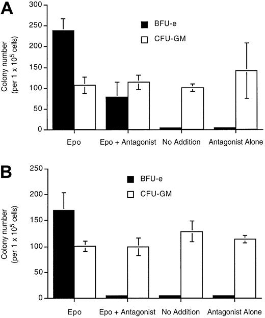 Fig. 7. Epo (R103A) specifically inhibits erythroid precursors in human bone marrow culture. / Bone marrow mononuclear cells (1.2 × 106) were cultured in 1 mL methylcellulose culture medium containing Epo (23 ng/mL) or Epo (R103A) or both at 1 μg/mL (A) or 10 μg/mL (B). Cultures also contain IL-3, GM-CSF, and SCF. BFU-E and CFU-GM colonies were counted at day 14. “No addition” indicates that neither Epo nor Epo antagonist was added. Cultures were done in triplicate with SD indicated with the bars.