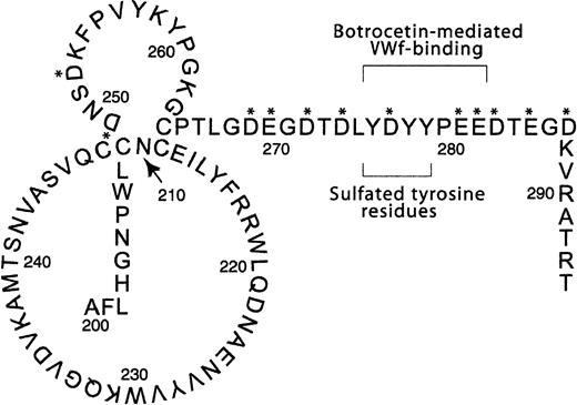 Fig. 1. GPIbα from amino acid 200-294. / This is a representation of part of the amino-terminal region of GPIbα containing the high concentration of acidic amino acids (indicated by the asterisk) surrounding the 3 sulfated tyrosine residues at positions 276, 278, and 279. Also shown is the 7 amino acid region from Tyr276 to Glu282 possibly involved in botrocetin-mediated VWF binding as demonstrated by Ward et al.8 This figure is an adaptation from Hess et al.34