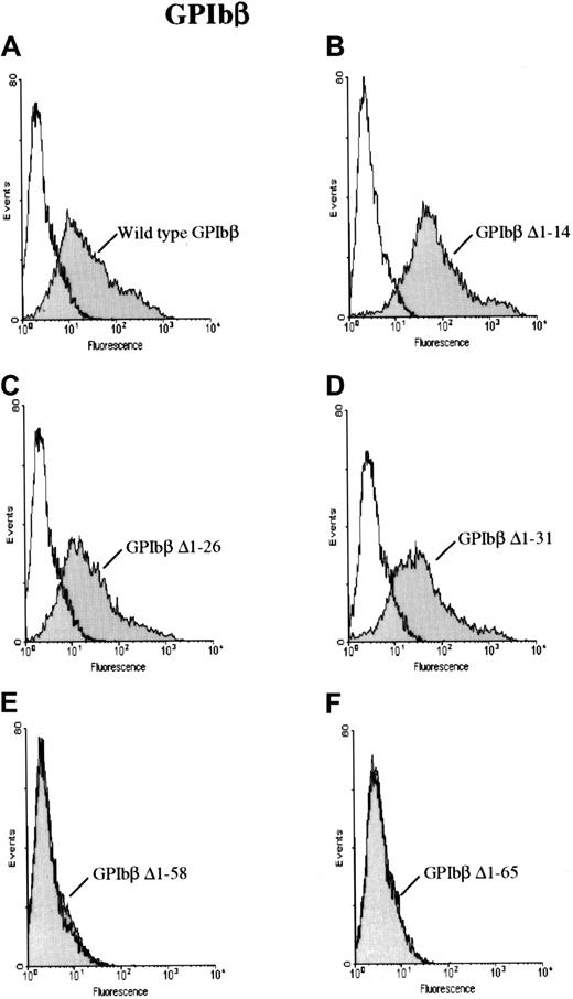 Fig. 2. GPIbβ with N-terminal deletions to residue 31 and N-terminal deletions of GPIbβ distal to residue 58. / GPIbβ with N-terminal deletions to residue 31 is expressed on the cell surface and recognized by MoAb 257.4, whereas N-terminal deletions of GPIbβ distal to residue 58 are not detected on the cell surface. HEK293T cells were transfected with wildtype GPIbβ alone (panel A) and with GPIbβ truncated at residue 14 (panel B), 26 (panel C), 31 (panel D), 58 (panel E), and 65 (panel F). The cells were then reacted with MoAb 257.4. There is a significant increase in fluorescence on the cells expressing wildtype GPIbβ and GPIbβ truncated at residues 14, 26, and 31. There is no increase in surface fluorescence in cells transfected with GPIbβ truncated at residue 58 or 65 compared with mock-transfected cells. Thus, N-terminal truncations to residue 31 appear to be expressed while truncations to 58 do not.