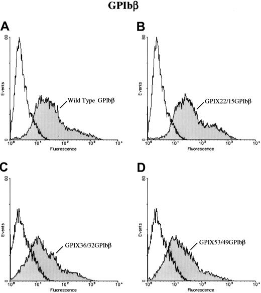 Fig. 3. Surface expression of chimeras of GPIX and GPIbβ. / HEK 293T cells transfected with wildtype GPIbβ (panel A) or the chimeras GPIX22ñ β15, (panel B) GPIX36/β32 (panel C), and GPIX53/49 (panel D) were reacted with MoAb 257.4. There is a significant increase in fluorescence in cells transfected with chimeras GPIX22ñ β15 and GPIX36/β32 and GPIX53/49. Thus, chimeras of GPIX and GPIbβ are surface expressed.