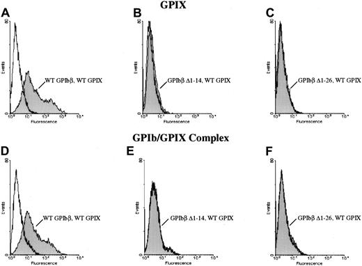 Fig. 4. The role of the N terminus of GPIbβ in the coexpression of GPIX. / The N terminus of GPIbβ is essential for the coexpression of GPIX. Wildtype GPIbβ and wildtype GPIX were simultaneously cotransfected into HEK 293T cells (panels A, D). GPIbβ truncated at residues 14 (B, E) or 26 (C, F) were cotransfected into HEK293T cells with GPIX. Cells were then reacted with the anti-GPIX antibody FMC 25 (panels A-C) or the complex-specific antibody AK1 (panels D-F). N-terminal truncations of GPIbβ do not bring GPIX to the surface.