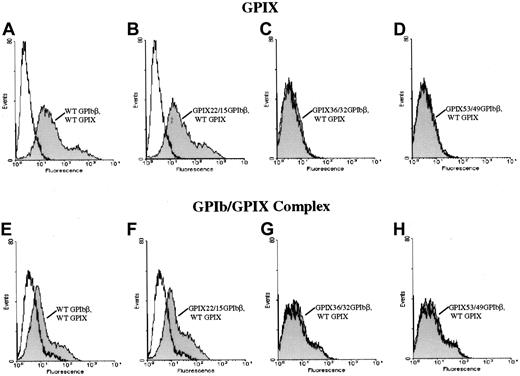 Fig. 6. N-terminal 14 amino acids of GPIbβ and surface expression of GPIX. / The N-terminal 14 amino acids of GPIbβ are essential for the surface expression of GPIX. The chimeras GPIX22/β15, GPIX36/β32, and GPIX53/49 were cotransfected with GPIX into HEK293T cells and reacted with the anti-GPIX antibody FMC 25 (panels A-D) or the complex-specific antibody AK1 (panels E-H). Panels A and E are wildtype beta and wildtype IX. Panels B and F are the chimera GPIX22/β15, which brings GPIX to the surface and is complexed to GPIX22/β15 since there is a significant increase in surface fluorescence in these cells when reacted with the antibody AK1 as compared with mock-transfected cells. In contrast, when cells simultaneously transfected with chimeras GPIX36/β32 (panels C, G) and GPIX53/49 (panels D, H) and GPIX are reacted with either the anti-GPIX (panels C, D) antibody or AK1 (panels G, H), there is no increase in fluorescence compared with mock-transfected cells. Thus, the N-terminal 14 residues of GPIbβ are essential for the surface expression of GPIX.