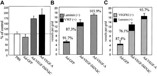 Fig. 3. Ad-VEGF-DΔNΔC induces angiogenesis in cremaster muscle. / (A) Results of live videomicroscopy. The density of blood vessels was quantified 7 days after injections with Ad-VEGF-DΔNΔC, Ad-VEGF-A165, Ad-GFP, and PBS. Paired t test revealed that the increase in the density of functional vessels was statistically significant for Ad-VEGF-DΔNΔC and Ad-VEGF-A165 rather than for PBS and Ad-GFP (P < .001 in all cases). The difference in the effects of Ad-VEGF-DΔNΔC and Ad-VEGF-A165 was not statistically significant. An average of 3 to 7 capillaries per field was observed in the Ad-GFP group. Data are means ± SE of 6 separate experiments. (B) Quantification of angiogenesis stimulated by Ad-VEGF-DΔNΔC 7 days after injection. Serial tissue sections were stained for VWF and laminin, and positively stained vessels per grid were counted using a ×20 objective. All fields in 4 different cremasters for each group were analyzed. A 100% value was assigned to VWF-positive vessels, and percentages denote the proportion of vessels that were also laminin-positive. Data are means ± SE. (C) Tissue sections stained for laminin and VEGFR-2. A 100% value was assigned to laminin-positive vessels, and percentages in the panel denote the proportion of vessels that were also VEGFR-2–positive. Data are means ± SE.